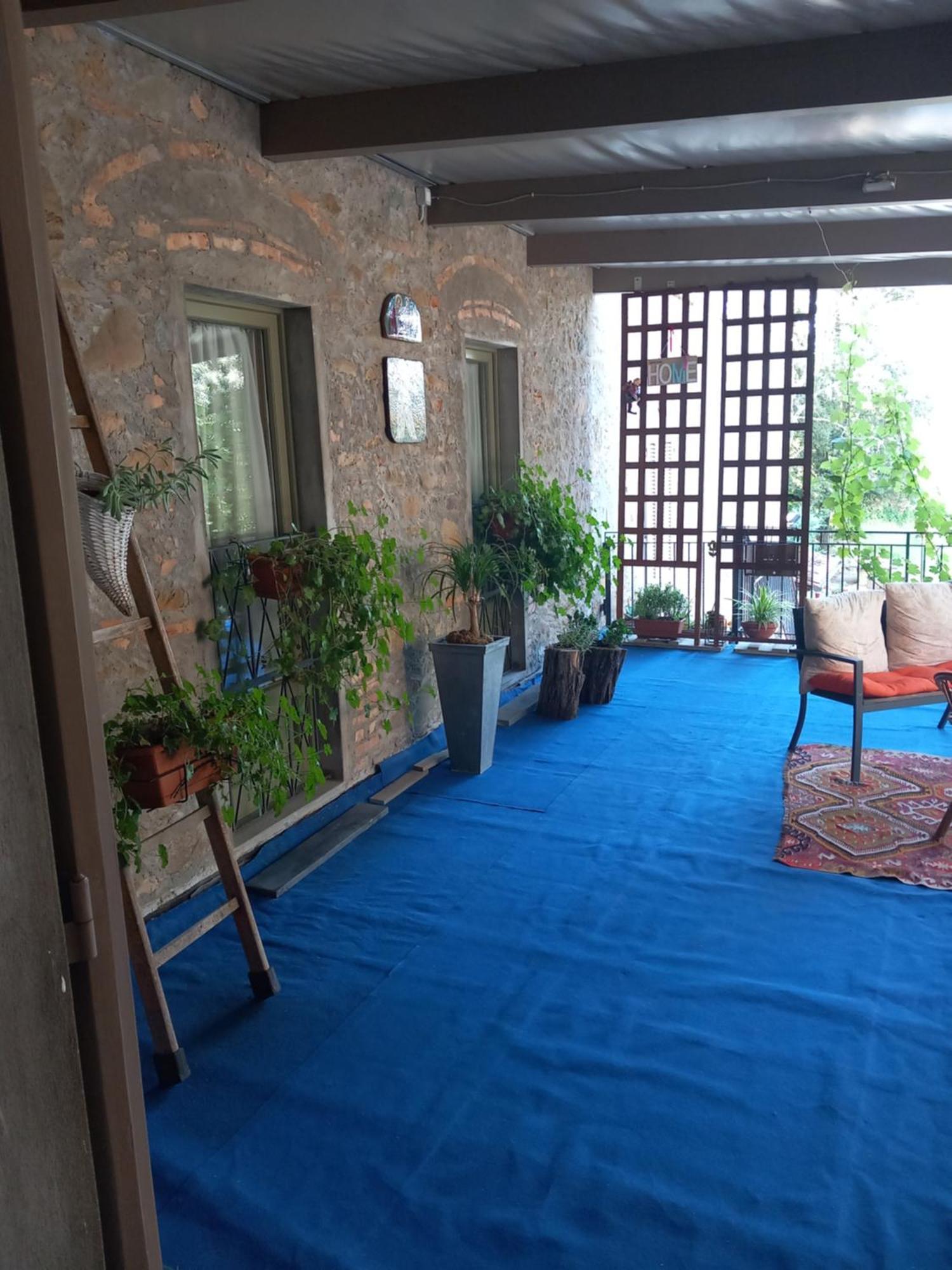 ヴィンチ Helichrysum Bed & Breakfast エクステリア 写真