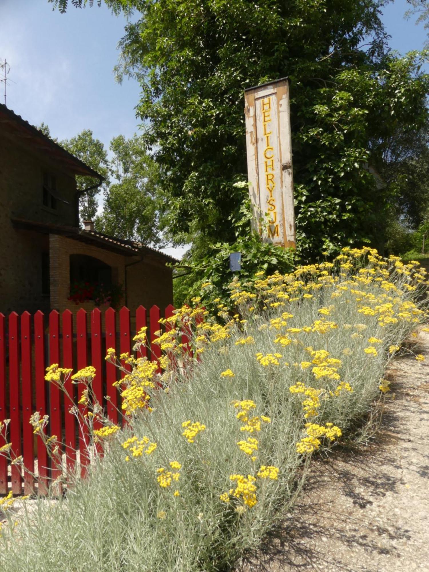 ヴィンチ Helichrysum Bed & Breakfast エクステリア 写真